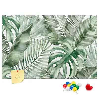 Kurk prikbord Groene plantkunde flora