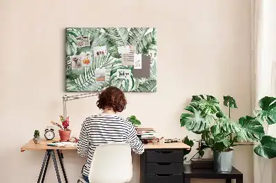 Kurk prikbord Groene plantkunde flora