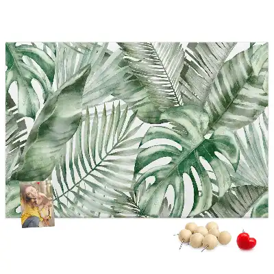Kurk prikbord Groene plantkunde flora