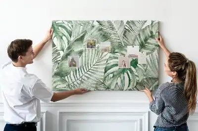 Kurk prikbord Groene plantkunde flora