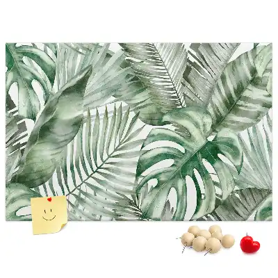 Kurk prikbord Groene plantkunde flora