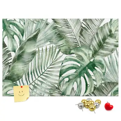 Kurk prikbord Groene plantkunde flora