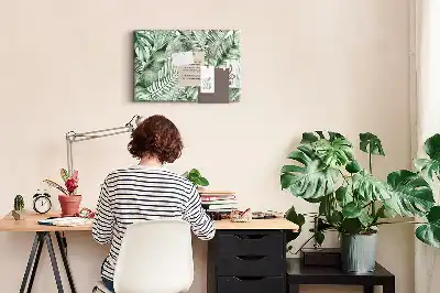 Kurk prikbord Groene plantkunde flora