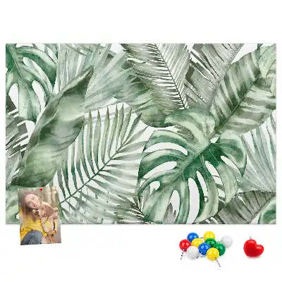 Kurk prikbord Groene plantkunde flora