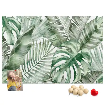 Kurk prikbord Groene plantkunde flora