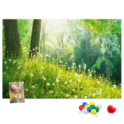 Kurk prikbord Lentenatuur