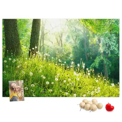 Kurk prikbord Lentenatuur