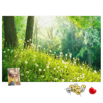 Kurk prikbord Lentenatuur