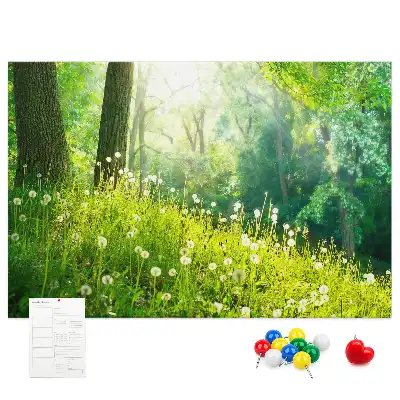 Kurk prikbord Lentenatuur