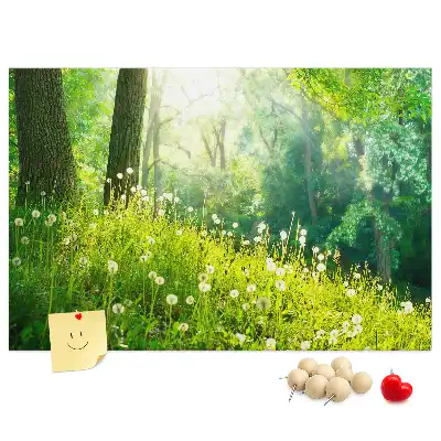 Kurk prikbord Lentenatuur