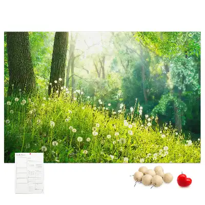 Kurk prikbord Lentenatuur