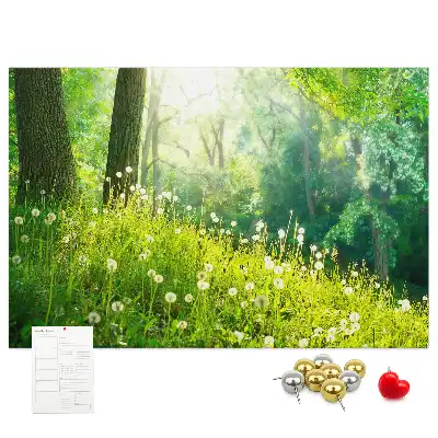 Kurk prikbord Lentenatuur