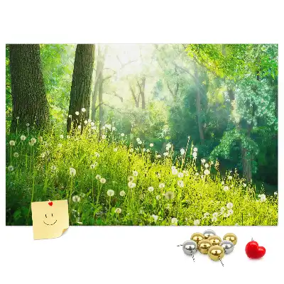 Kurk prikbord Lentenatuur