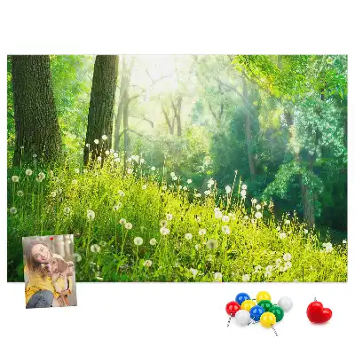 Kurk prikbord Lentenatuur