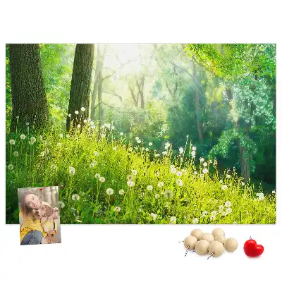 Kurk prikbord Lentenatuur