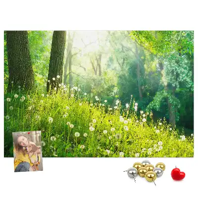 Kurk prikbord Lentenatuur