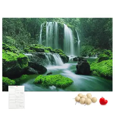 Memobord van kurk Waterval tussen mos
