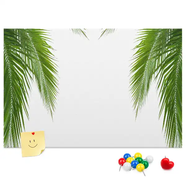 Kurk prikbord Bladeren palm natuur