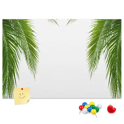 Kurk prikbord Bladeren palm natuur