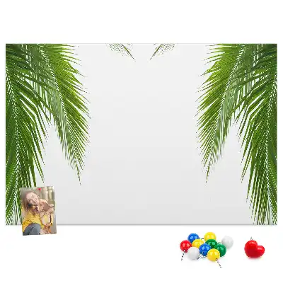 Kurk prikbord Bladeren palm natuur