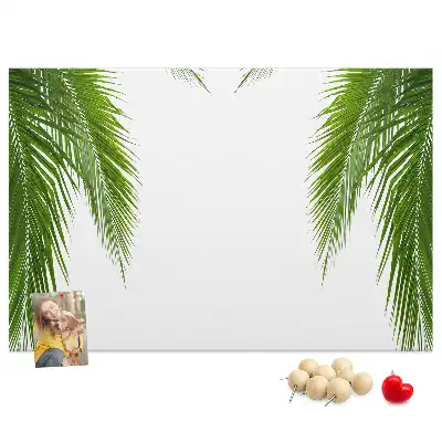 Kurk prikbord Bladeren palm natuur