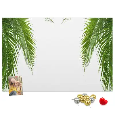 Kurk prikbord Bladeren palm natuur