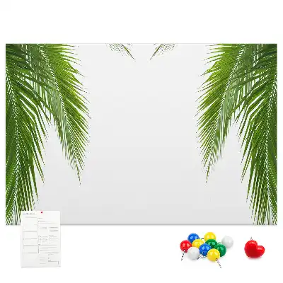 Kurk prikbord Bladeren palm natuur