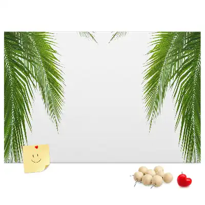 Kurk prikbord Bladeren palm natuur