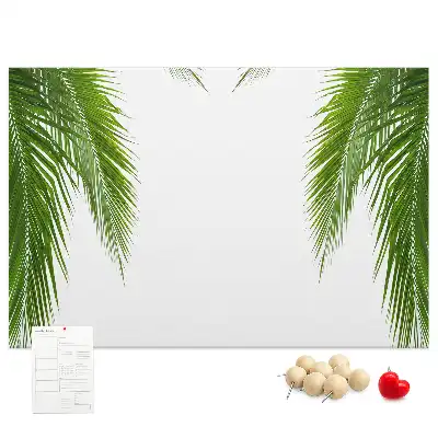 Kurk prikbord Bladeren palm natuur