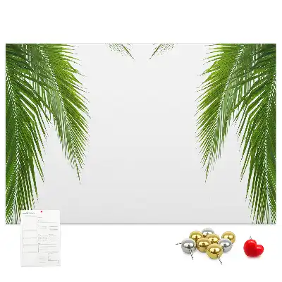 Kurk prikbord Bladeren palm natuur