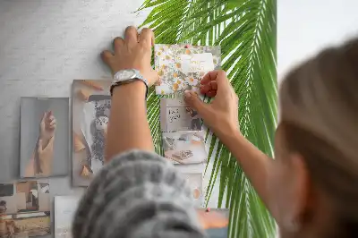 Kurk prikbord Bladeren palm natuur