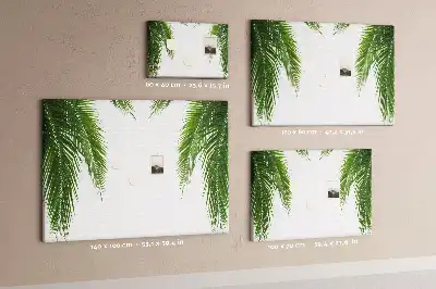 Kurk prikbord Bladeren palm natuur