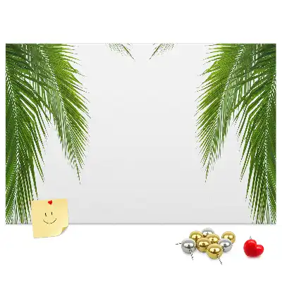 Kurk prikbord Bladeren palm natuur