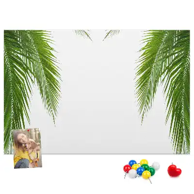 Kurk prikbord Bladeren palm natuur
