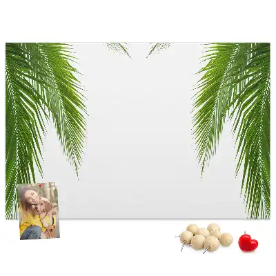 Kurk prikbord Bladeren palm natuur