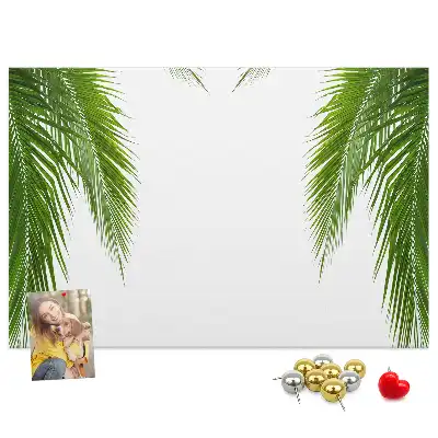 Kurk prikbord Bladeren palm natuur