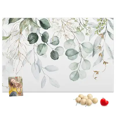 Kurk prikbord Hangplanten