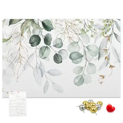 Kurk prikbord Hangplanten