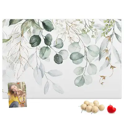 Kurk prikbord Hangplanten
