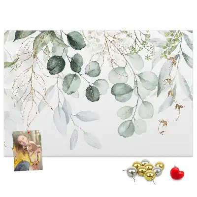 Kurk prikbord Hangplanten