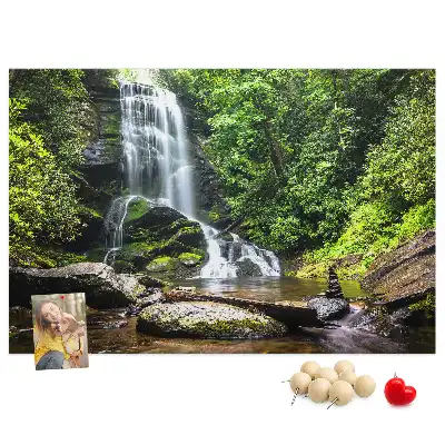 Memobord van kurk Waterval bos