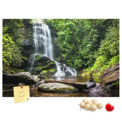 Memobord van kurk Waterval bos