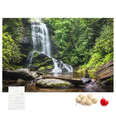 Memobord van kurk Waterval bos