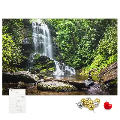 Memobord van kurk Waterval bos