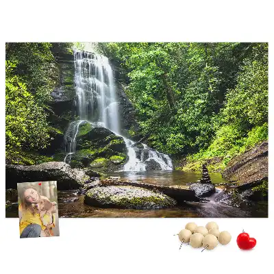 Memobord van kurk Waterval bos