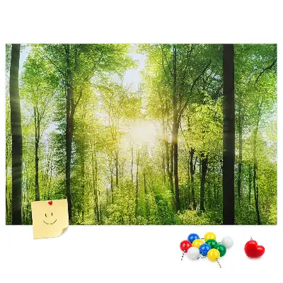 Kurken memobord met natuurlijke bos en bomen print