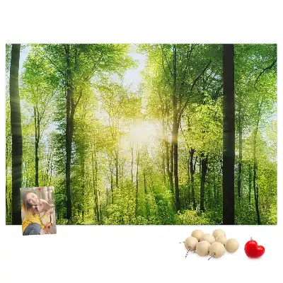 Memobord van kurk Natuur bos bomen
