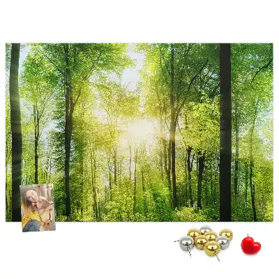 Memobord van kurk Natuur bos bomen