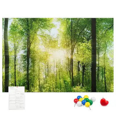 Memobord van kurk Natuur bos bomen