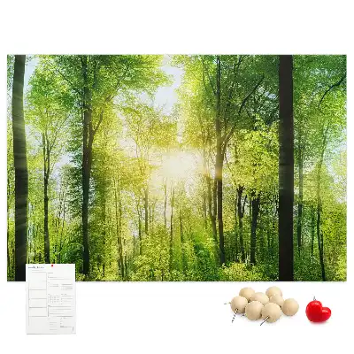 Memobord van kurk Natuur bos bomen